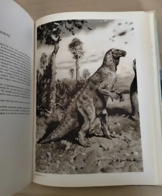 Collezione Libri Dinosauri J. Augusta Z. Burian