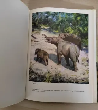 Collezione Libri Dinosauri J. Augusta Z. Burian