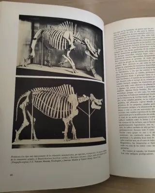 Collezione Libri Dinosauri J. Augusta Z. Burian