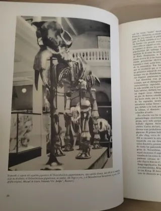 Collezione Libri Dinosauri J. Augusta Z. Burian