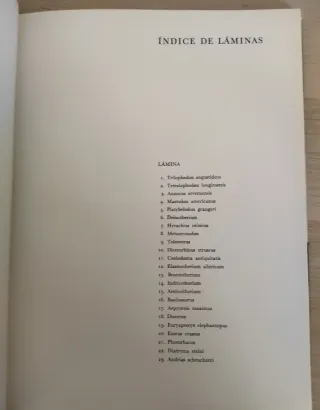 Collezione Libri Dinosauri J. Augusta Z. Burian