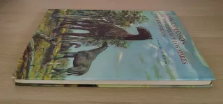 Collezione Libri Dinosauri J. Augusta Z. Burian