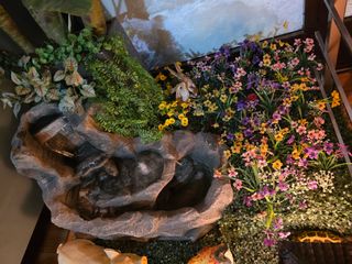 40€ Masajista Titulado Centro Profesional Terapias