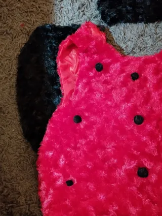 Disfraz Mariquita Talla 2 Años