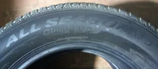 Neumáticos Pirelli All Seasonsf3 215/60/16 99V M+S