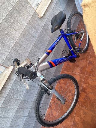 Bicicleta de montaña azul