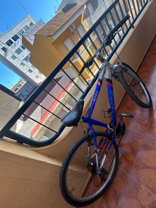 Bicicleta de montaña azul