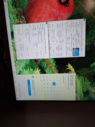 Mini PC Asus Negro S.O XP / 10