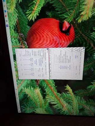 Mini PC Asus Negro S.O XP / 10