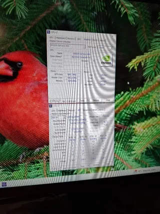 Mini PC Asus Negro S.O XP / 10