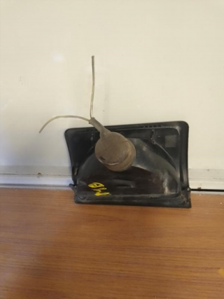 Piloto delantero izquierdo Mercedes Benz 1