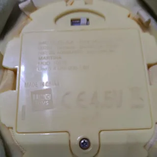 Tortuga Martina camina y dulces sonidos