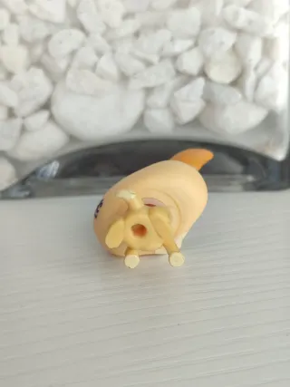 Littlest Pet Shop Chihuahua #1656