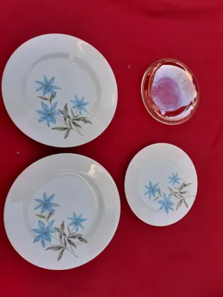 Lote 8 platos porcelana