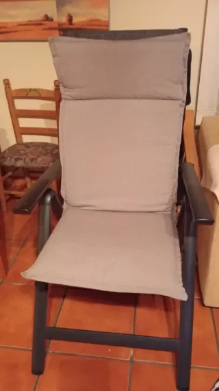 Tumbonas de jardín con cojines 50 unidad tengo 2