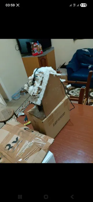 Presepe Natalizio con Luci