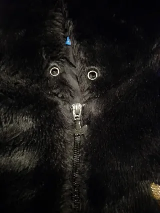 S Chaqueta Adidas Chile 62 Marrón Dorada