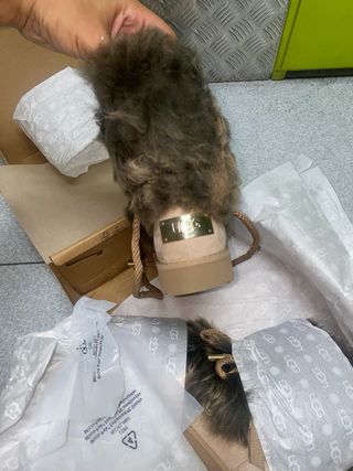 Botas UGG posh mini NUEVAS en caja