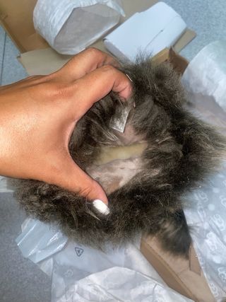 Botas UGG posh mini NUEVAS en caja