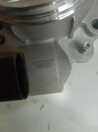 Cuerpo de Mariposa THB76016-C