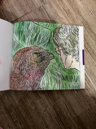 Harry Potter Pinta con Agua Libro