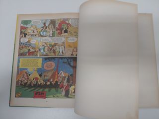 Astérix. La cizaña