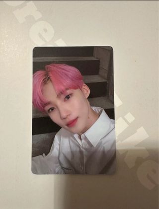 Album Kpop The Boyz Dreamlike