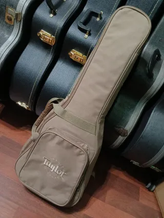 Guitarra Taylor Baby BT1-e con funda