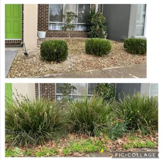 Jardinero económico