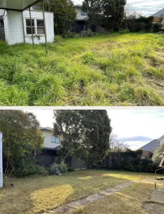 Jardinero económico