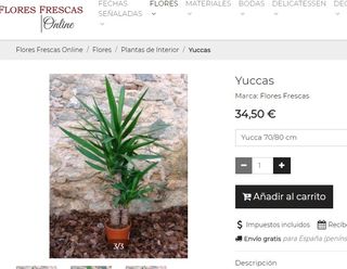 Palmera tropical 1,40m