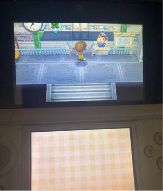 Animal Crossing New Leaf Nintendo 3DS