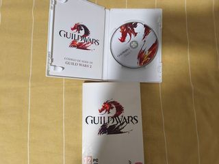 Guild Wars 2 PC
