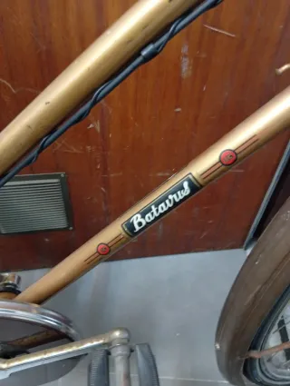 Bicicleta Holandesa Dorada