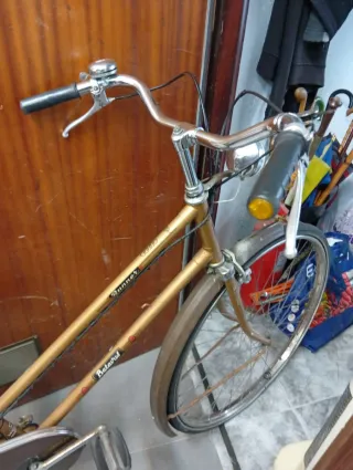 Bicicleta Holandesa Dorada