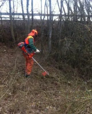 Servicios de jardinería