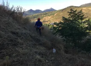 Servicios de jardinería