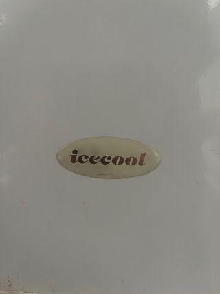 Nevera blanca buen estado