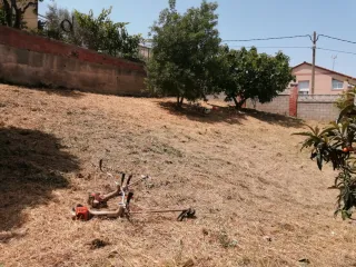 limpieza de parcelas poda de árboles