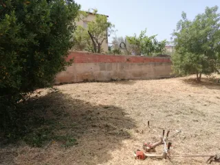 Servicio de limpieza de parcelas