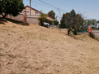 Servicio de limpieza de parcelas