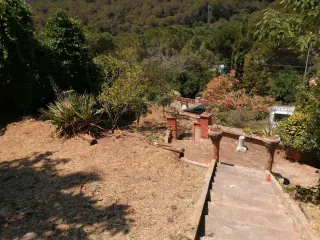 Servicios de jardinería