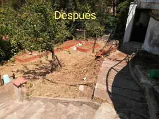 Servicios de jardinería