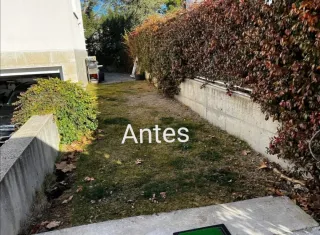 Servicios de jardinería