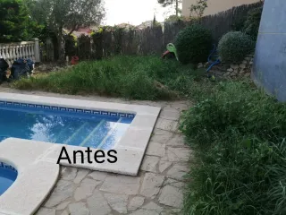 Servicios de jardinería y césped artificial