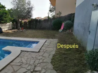 Servicios de jardinería y césped artificial