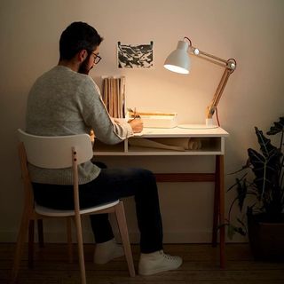 Bombillas LED AmazonBasics E27 (2 unidades)