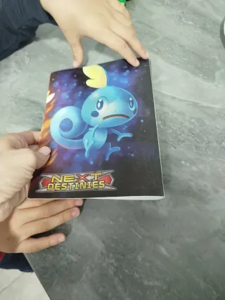 Álbum Pokémon Next Destinies