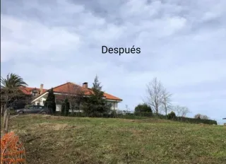 Servicios de jardinería