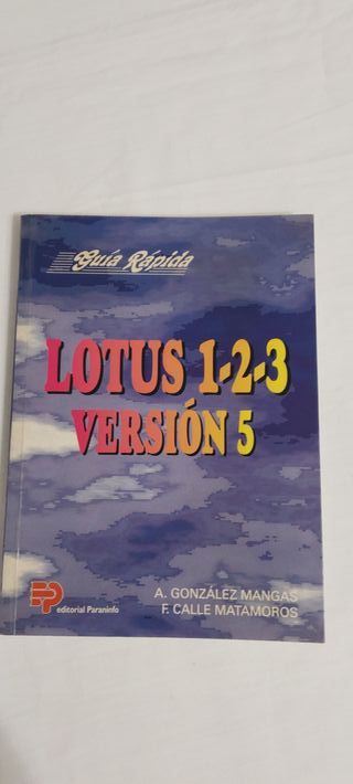 Lote libros informática